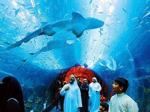 Dubai Aquarium and Underwater Zoo.