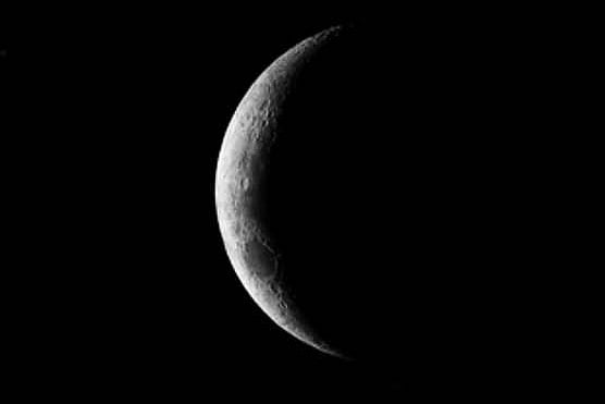 1.1564410-1223688868