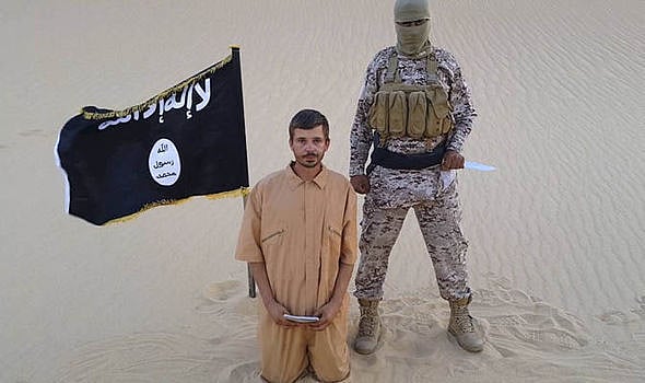 1.1565417-3279536582