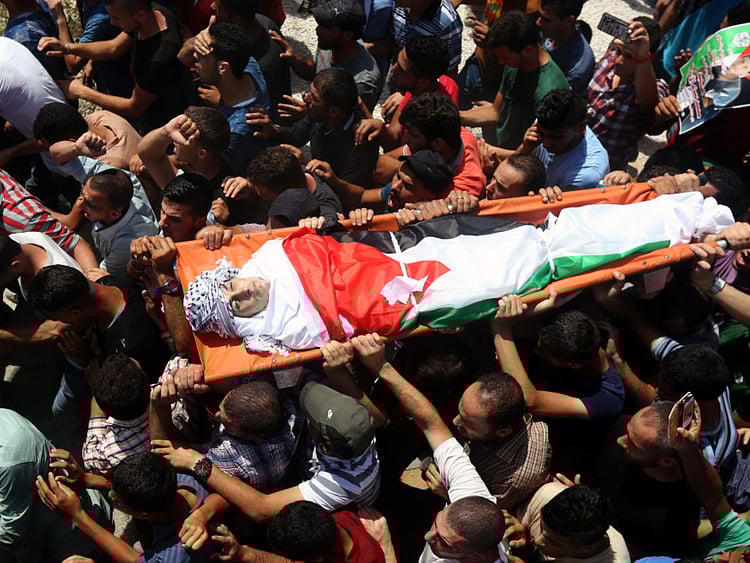 1.1569219-4195149077