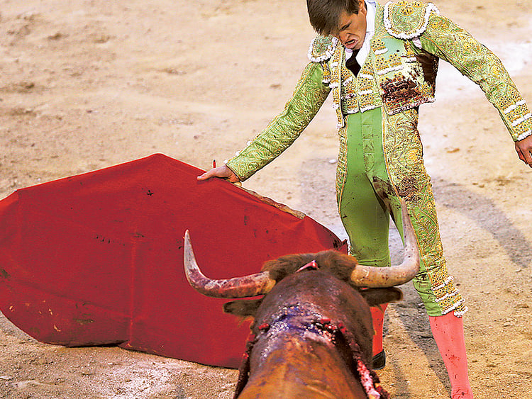 1.1569382-3933637608