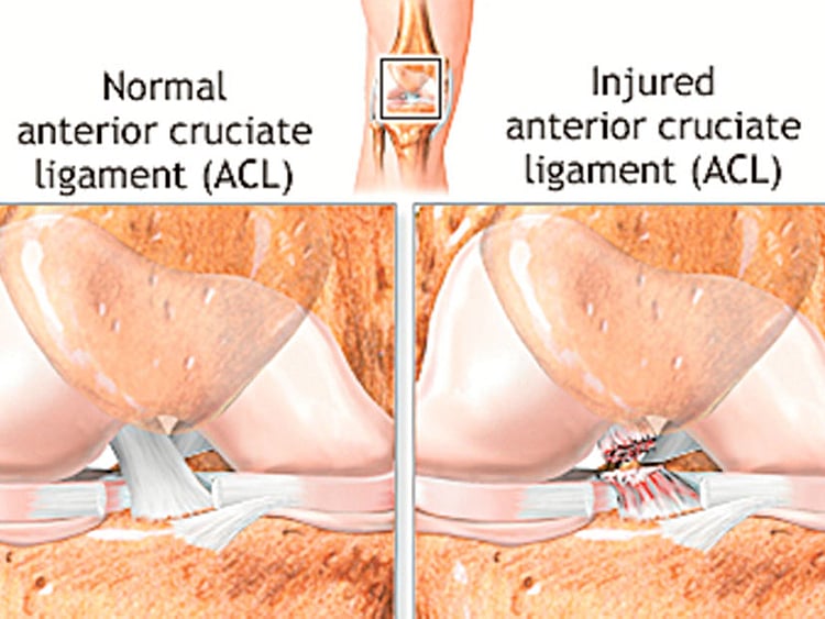 1.1570926-2580073630