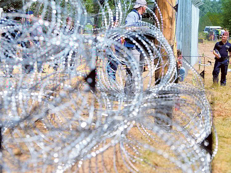 1.1571891-1780340404