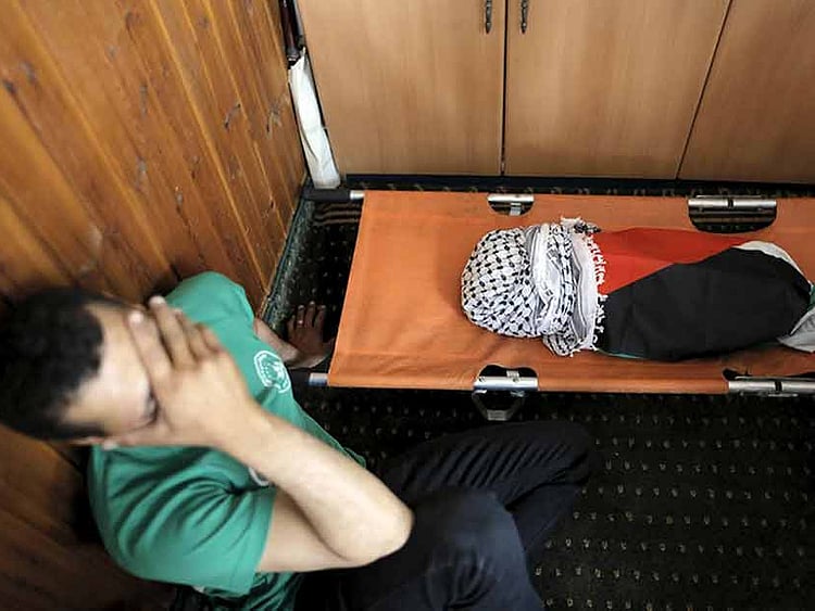 1.1560752-2074896705