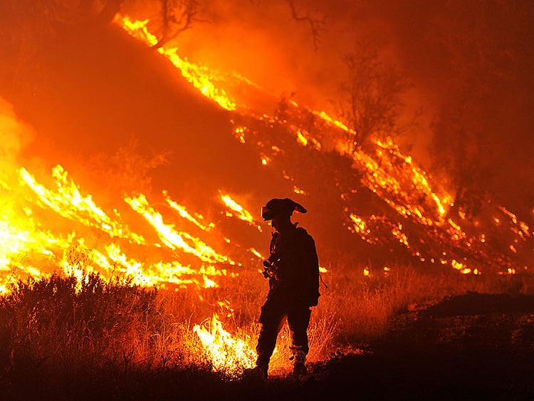 1.1561116-3768647237