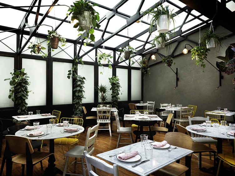 1.1561158-3943948575