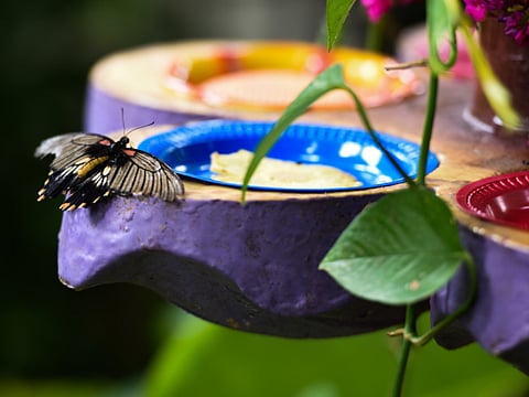 Abdel-Krim Kallouche/XPRESS