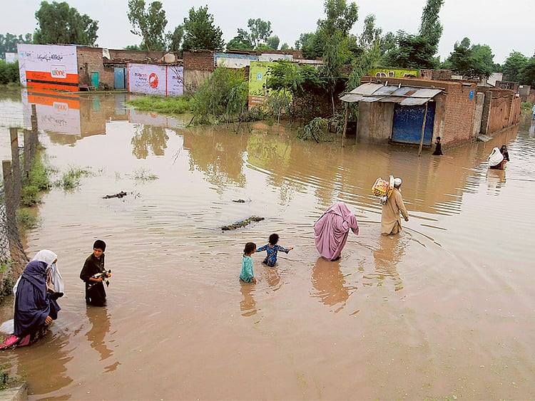 1.1562515-3969249675