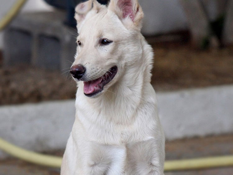 1.1562688-1553821906