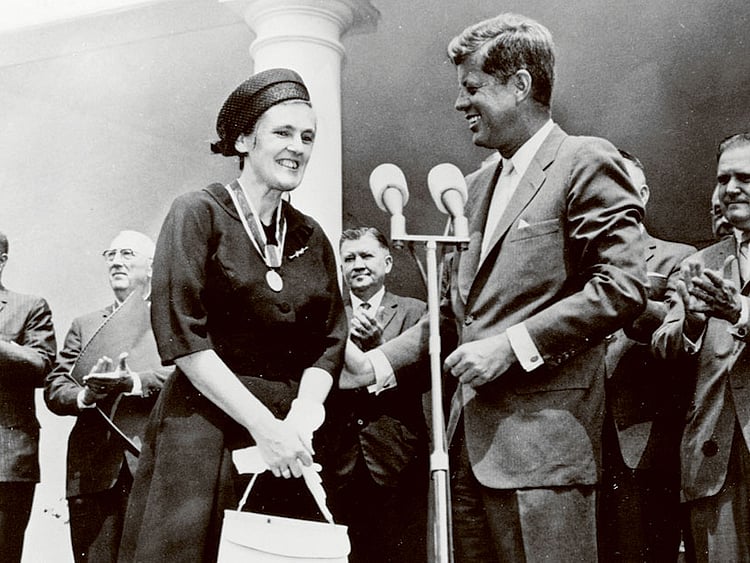 1.1563104-2132956030