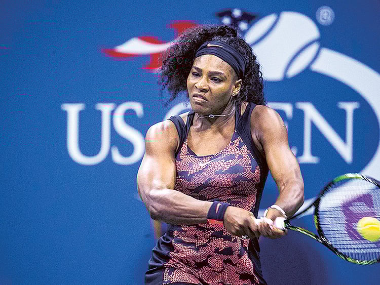 1.1576514-3355753447