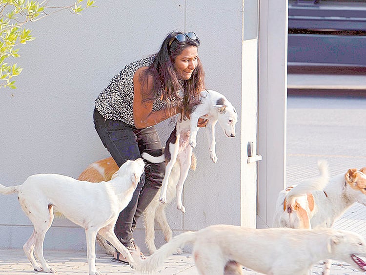 1.1576476-2719032289