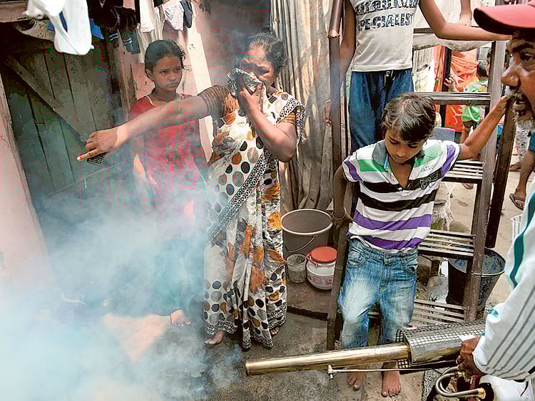 1.2118316-2495110204