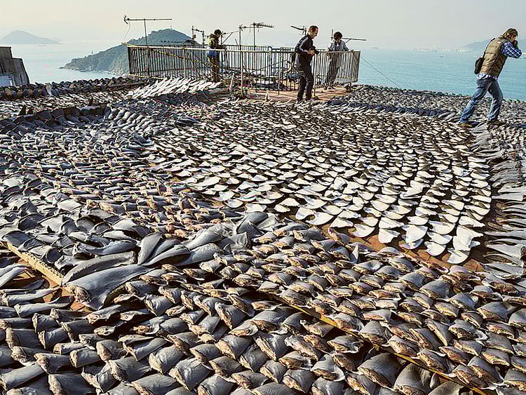 1.1584986-3979170727