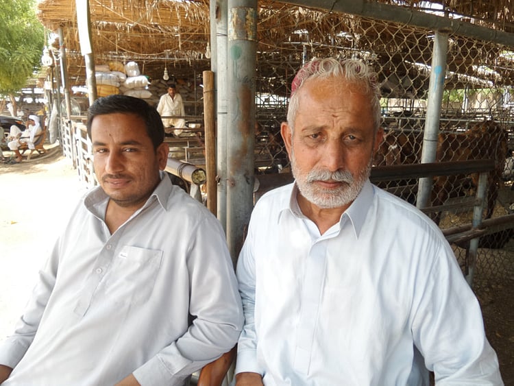 1.1585240-1591034187