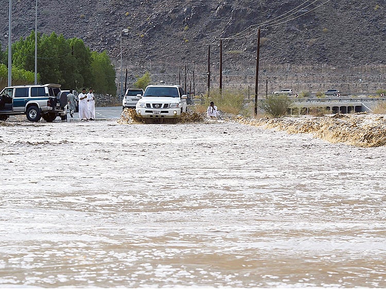 1.2127233-3912502042