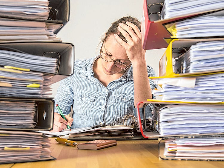 1.1586001-2411991068