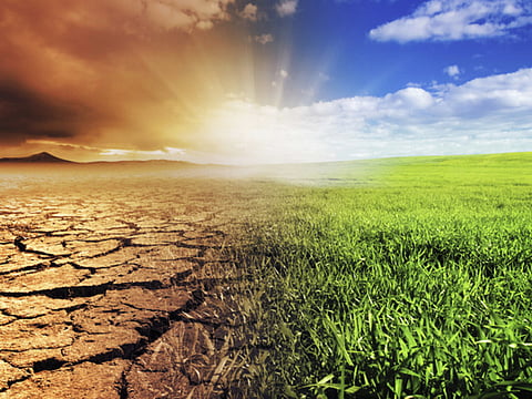 Does advertising industry promote products that contribute to climate change?