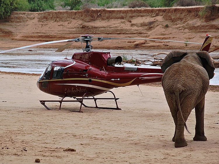 1.1586824-3898150334