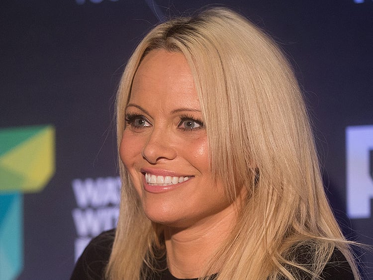 1.1586877-2012864726