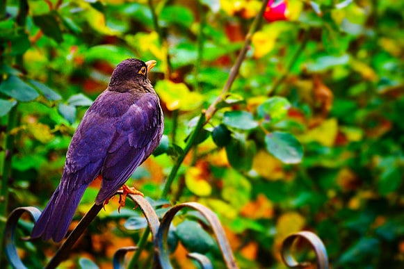 1.1588797-3624001914