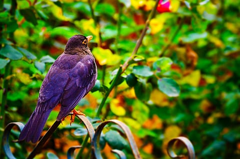 It’s about the little things