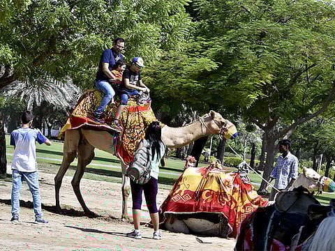 Clint Egbert/Gulf News