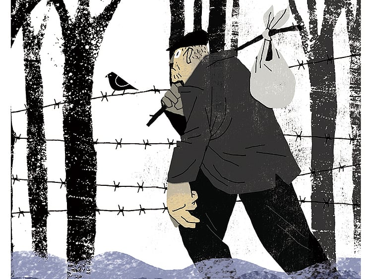 1.1577168-3568156447