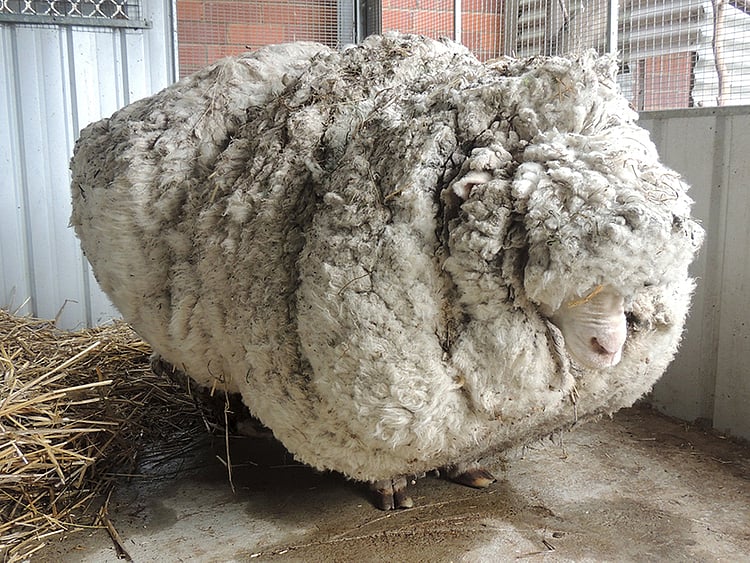 1.1578081-1098702860