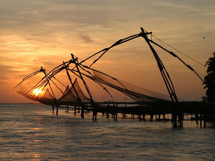 1.1652293-3517990641