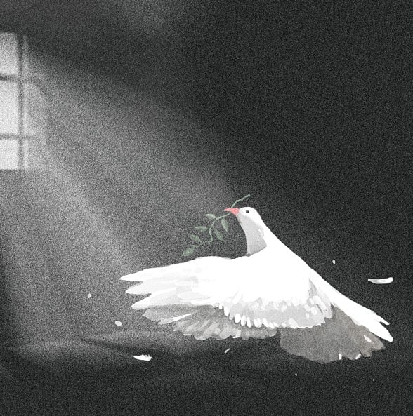 1.1653281-3420536799