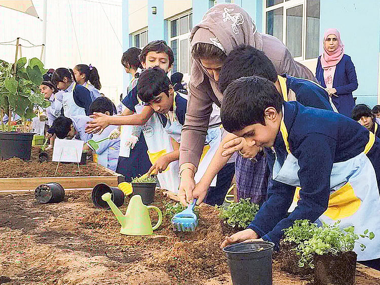 1.1655728-1315098377