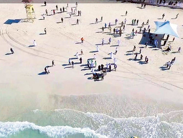 1.1656273-3809384280