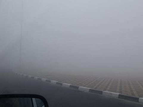 Farwa Zahra (Twitter)