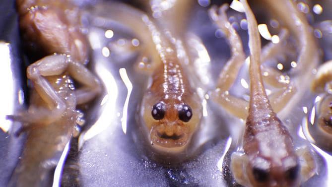 1.1657450-3190749629