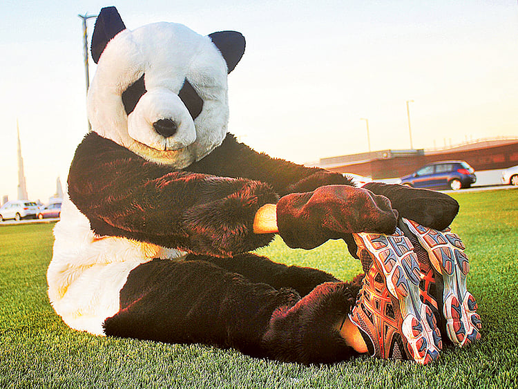 1.1658124-2179272747