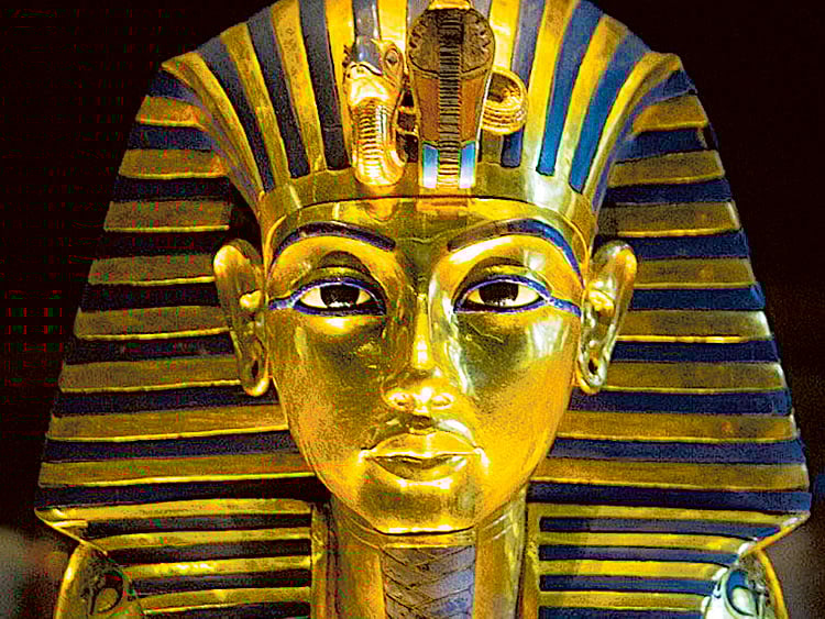 1.1658384-4294798552