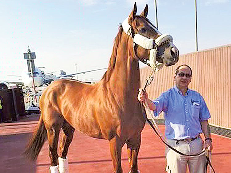 1.1658389-4029405371