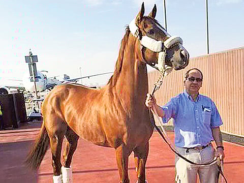 Courtesy Dubai Racing Club/ Facebook