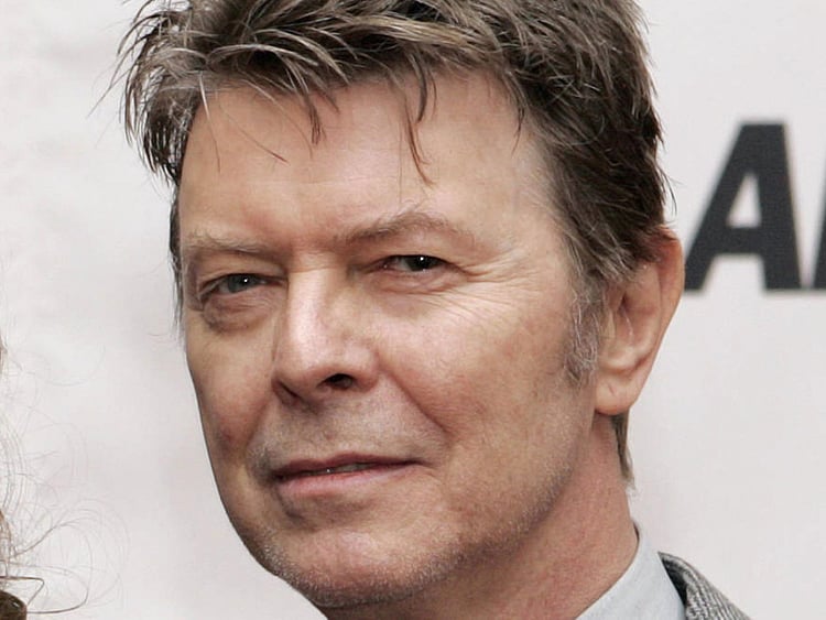 1.1659446-3606499210