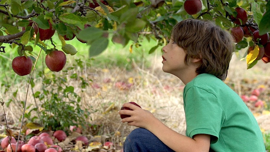 1.1660826-2771109547