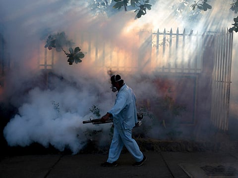 Why WHO responded so differently to Zika and Ebola