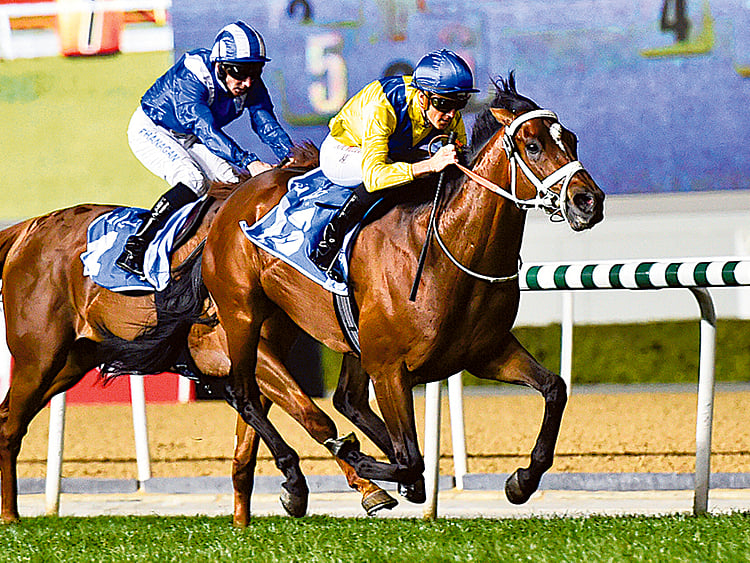 1.1662237-2117516095