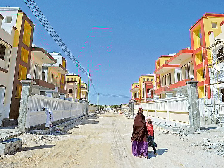 1.1647493-2859293480