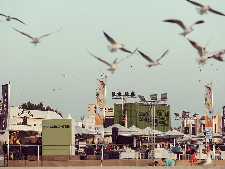 1.1649194-3961277372