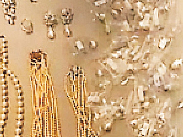 1.1649123-3784906314