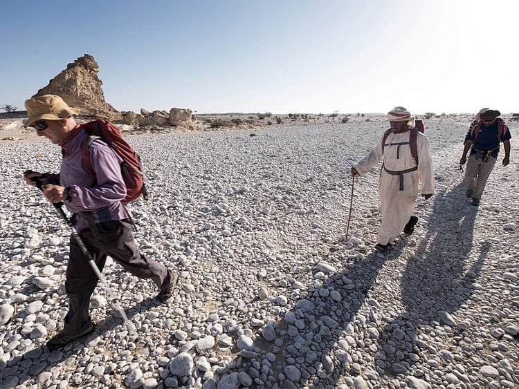 1.1649815-3944555604