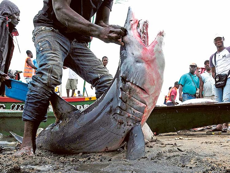 1.1905111-2669249355