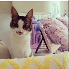 1.1909990-2063099679