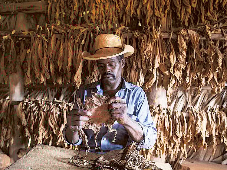 1.1912961-2657162243